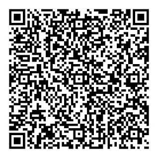 QR Code 4